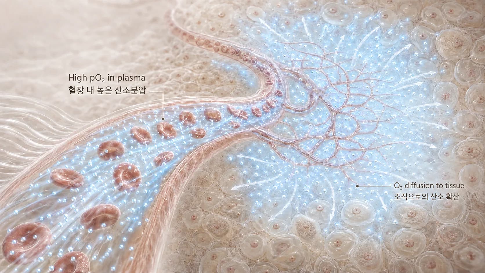 산소 확산 도해